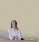 کاغذدیواری طرح جودون