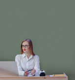 کاغذدیواری سبز طرح جودون